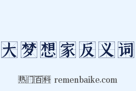 大梦想家反义词是什么意思的图片